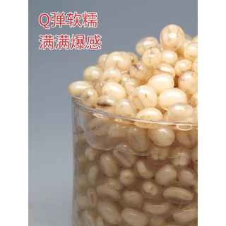 Hạt nổ Yến mạch lon 900g topping trà sữa ăn liền
