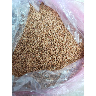 Túi 100g hạt Vừng trắng, Vừng vàng nguyên hạt sạch ngon sạch