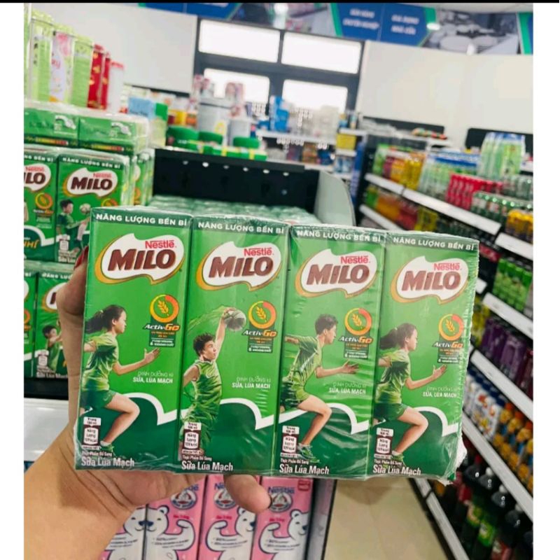 Combo 2 Lốc Sữa Milo Active Go 180ml