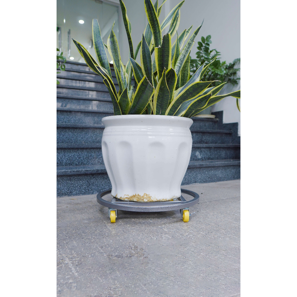 Đế lót chậu cây có bánh xe di động