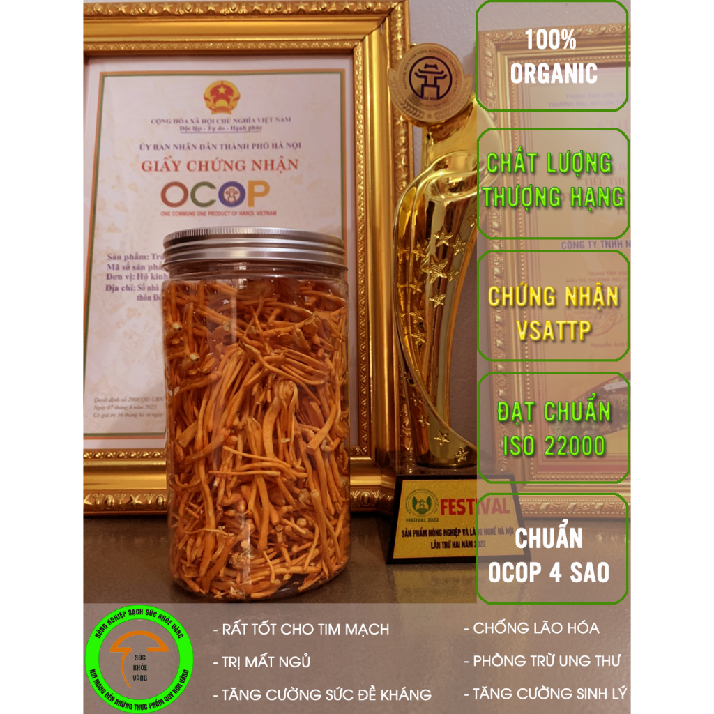 Đông Trùng Hạ Thảo Sức Khỏe Vàng Lọ 35g Sấy Thăng Hoa