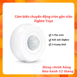 Cảm biến chuyển động gắn trần Zigbee Tuya