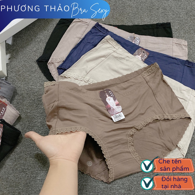 Quần lót nữ form to big size cotton cao cấp không bai nhão HA250