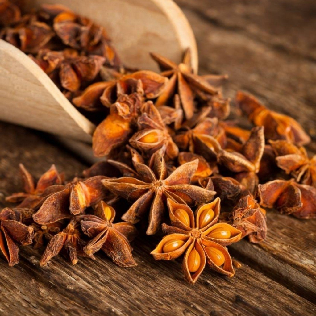 Hoa hồi khô - Star Aniseer Hoa đại hồi nấu Phở và món Trung 30g 500g