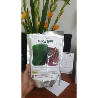 Gói 200 hạt giống lá mè hàn quốc