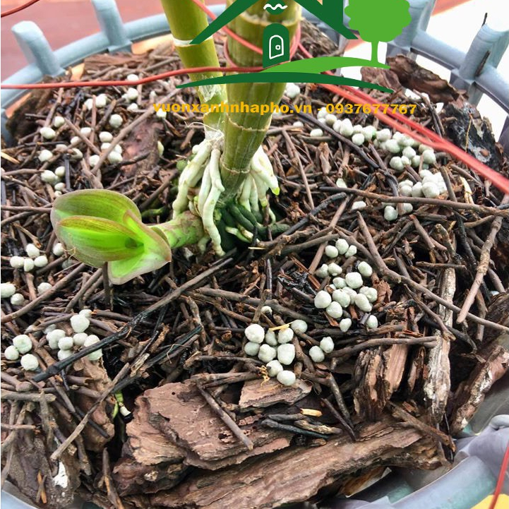 Phân chì nhật tan chậm Hi-Control 13-11-11+ME & 14-13-13 túi 500g, dùng trên lan, bonsai, cây cảnh, cây ăn trái