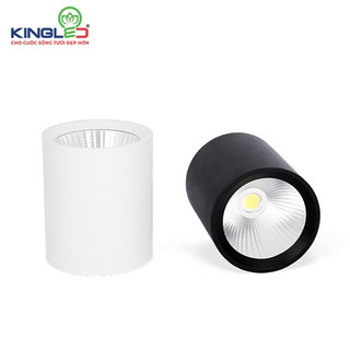 ĐÈN ỐNG BƠ LED CHIẾU RỌI PERIDOT KINGLED