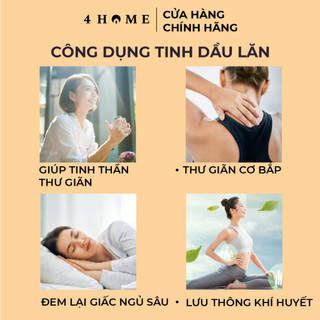 Tinh Dầu Lăn 14s - Energy (10ml)
