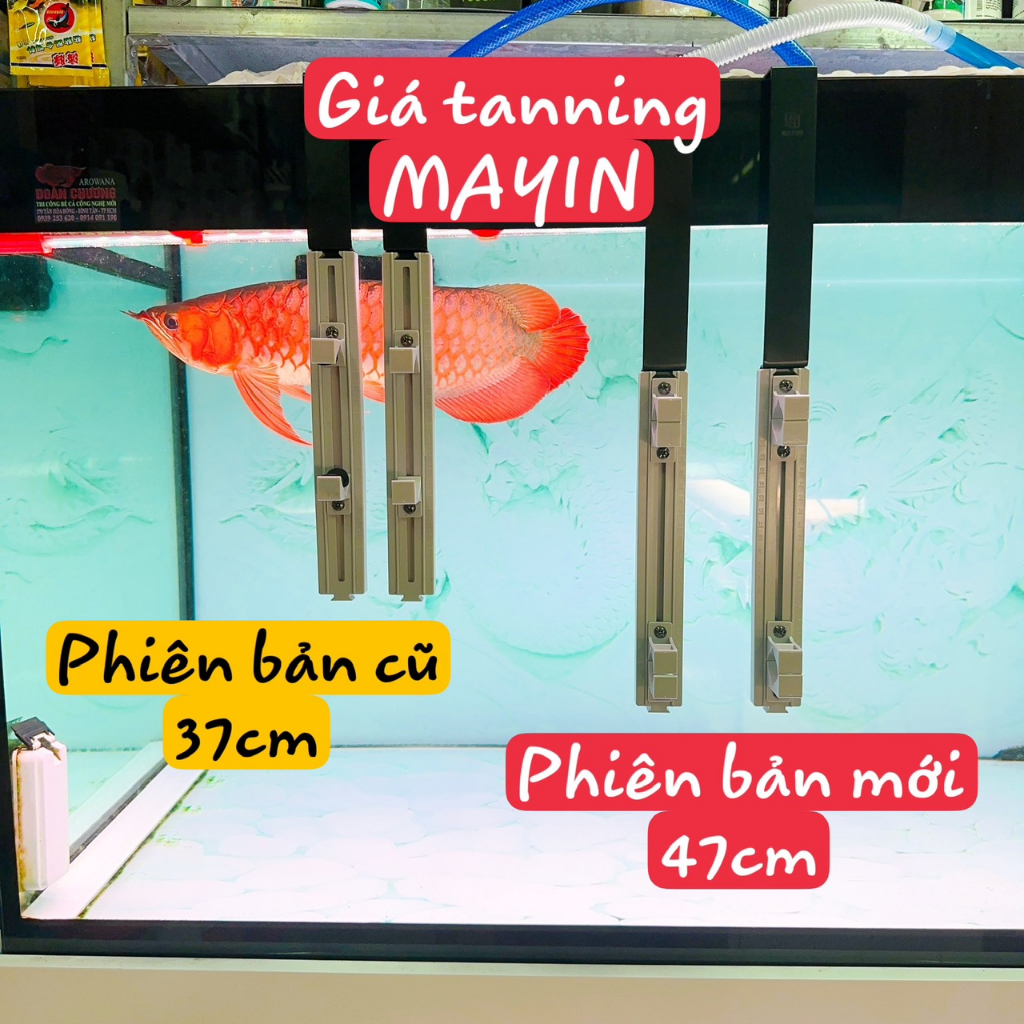 Giá TANNING MAYIN (Mẫu Mới) Thế Hệ 3 Kích Thước 47cm