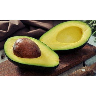 Cây giống bơ sáp 034(1bầu cây)