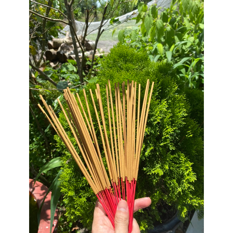 Nhang gỗ tuyết tùng 30cm