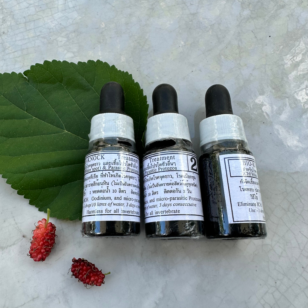 Bio Knock 2 ngừa nấm ở cá cảnh