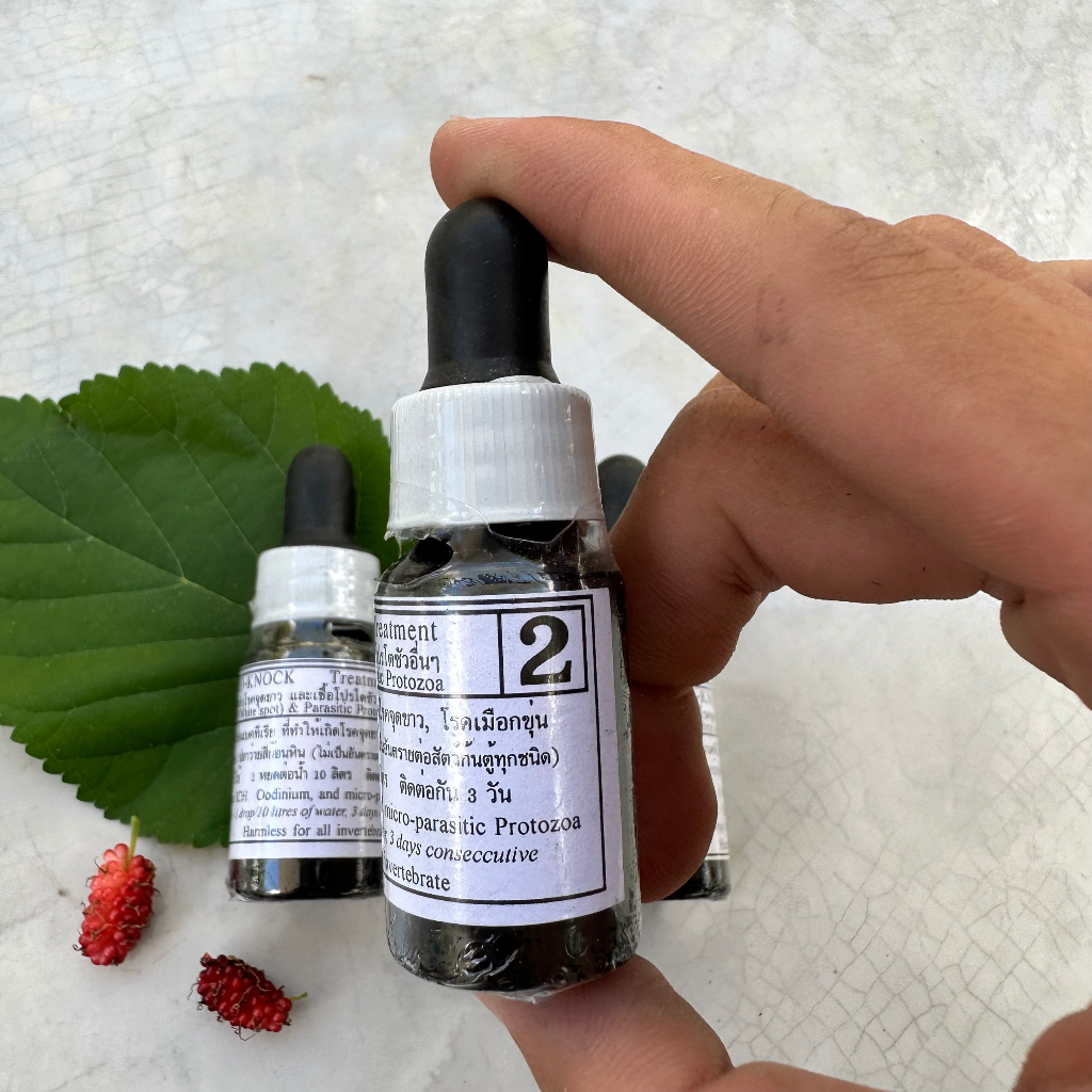 Bio Knock 2 ngừa nấm ở cá cảnh