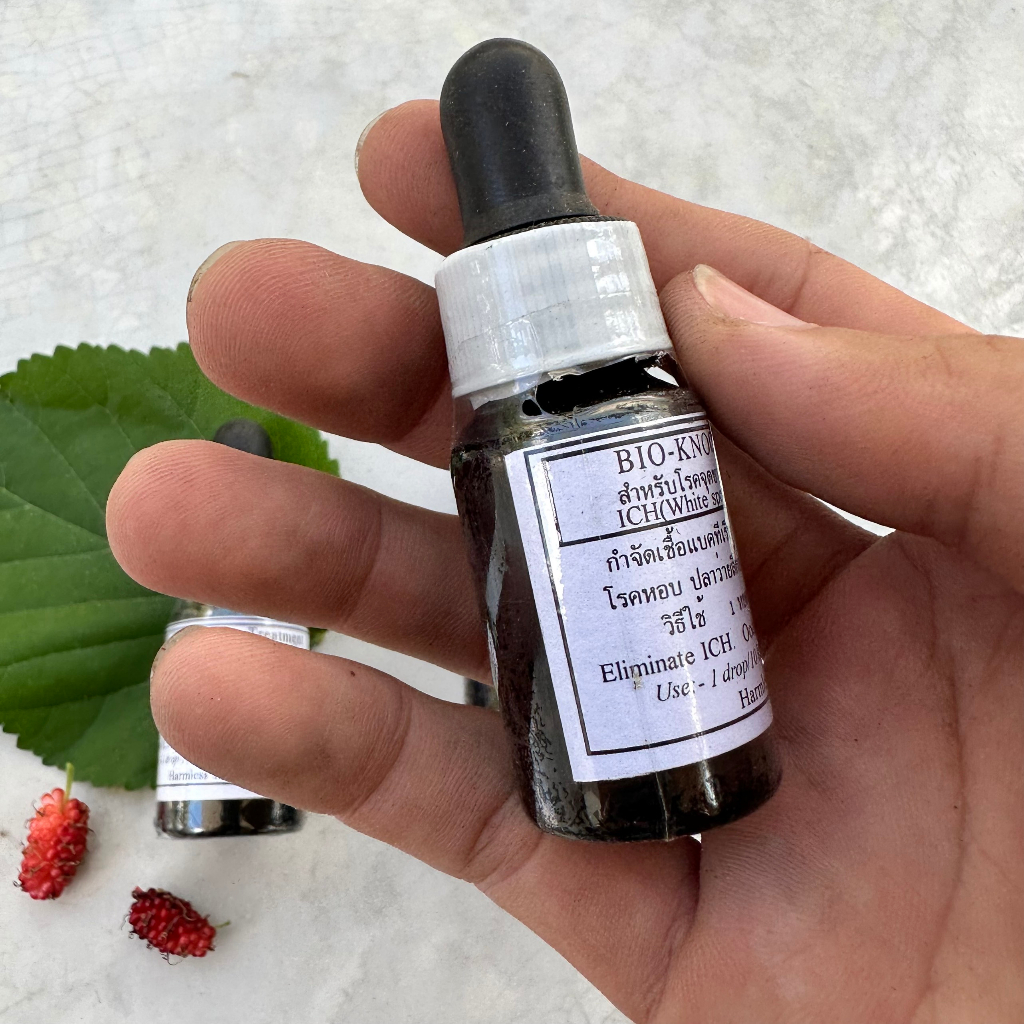 Bio Knock 2 ngừa nấm ở cá cảnh