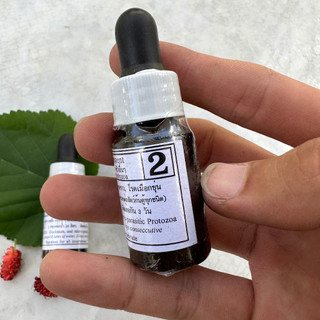 Bio Knock ngừa nấm ở cá cảnh