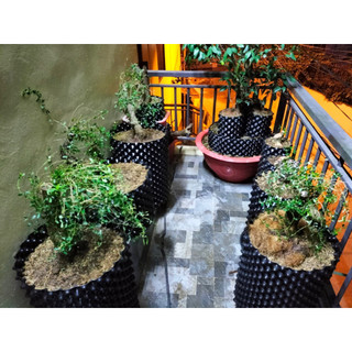 ĐẾ BẦU ƯƠM THÔNG MINH V6 ĐK 60CM
