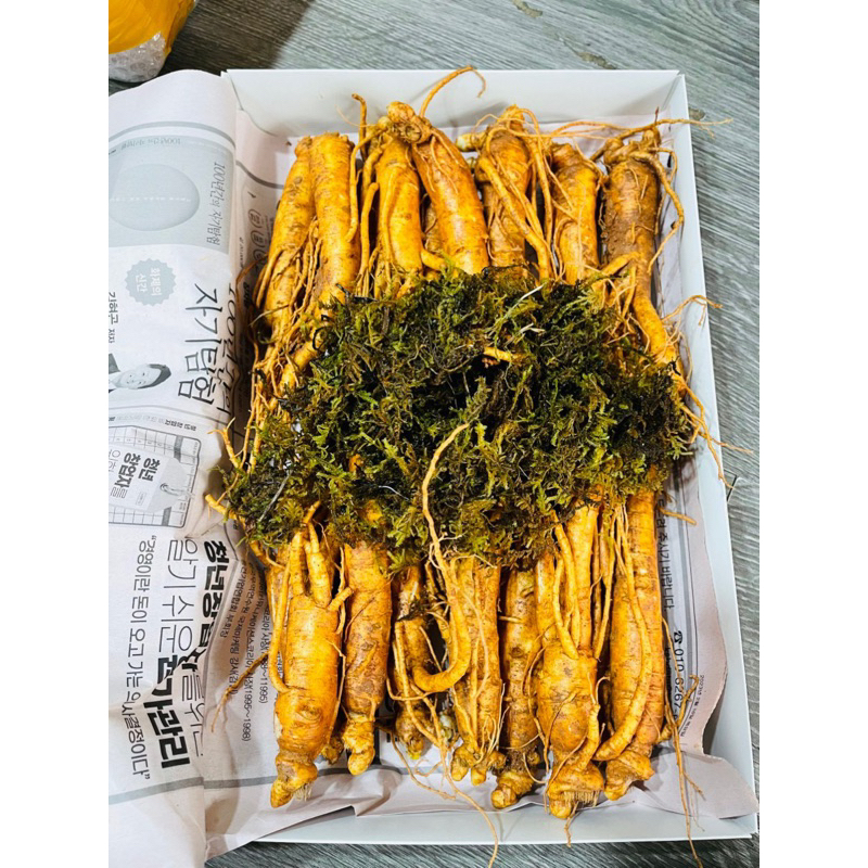 NHÂN SÂM HẦM GÀ 18-35 CỦ 1KG