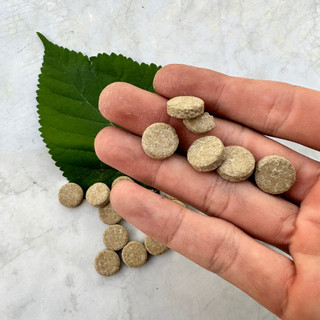 Thức ăn dán cho cá cảnh thủy sinh