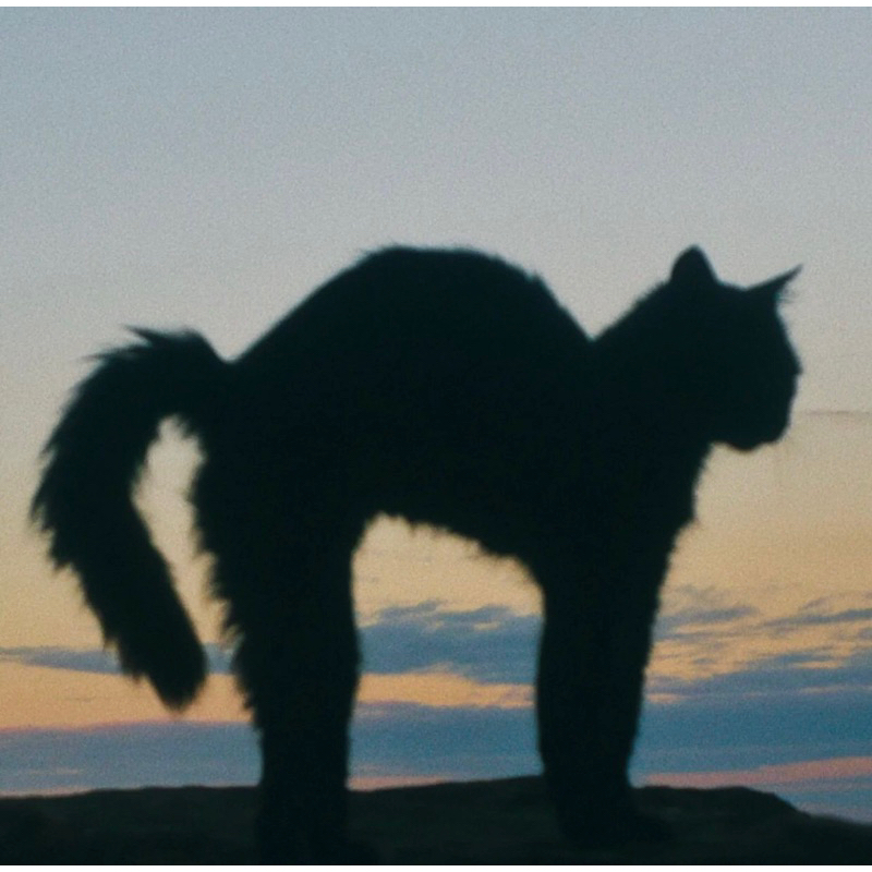 Panasonic DMC-LS80 Máy ảnh Vintage ngoại hình đẹp