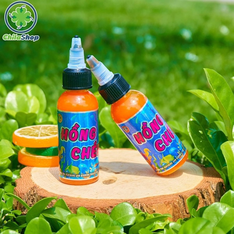 HỒNG CHÉP 2023