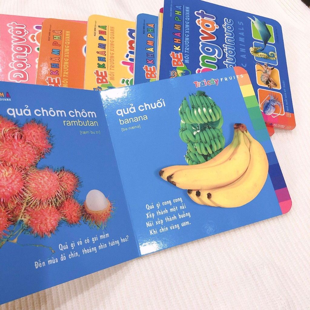 Sách: Combo Bé Khám Phá Môi Trường Xung Quanh