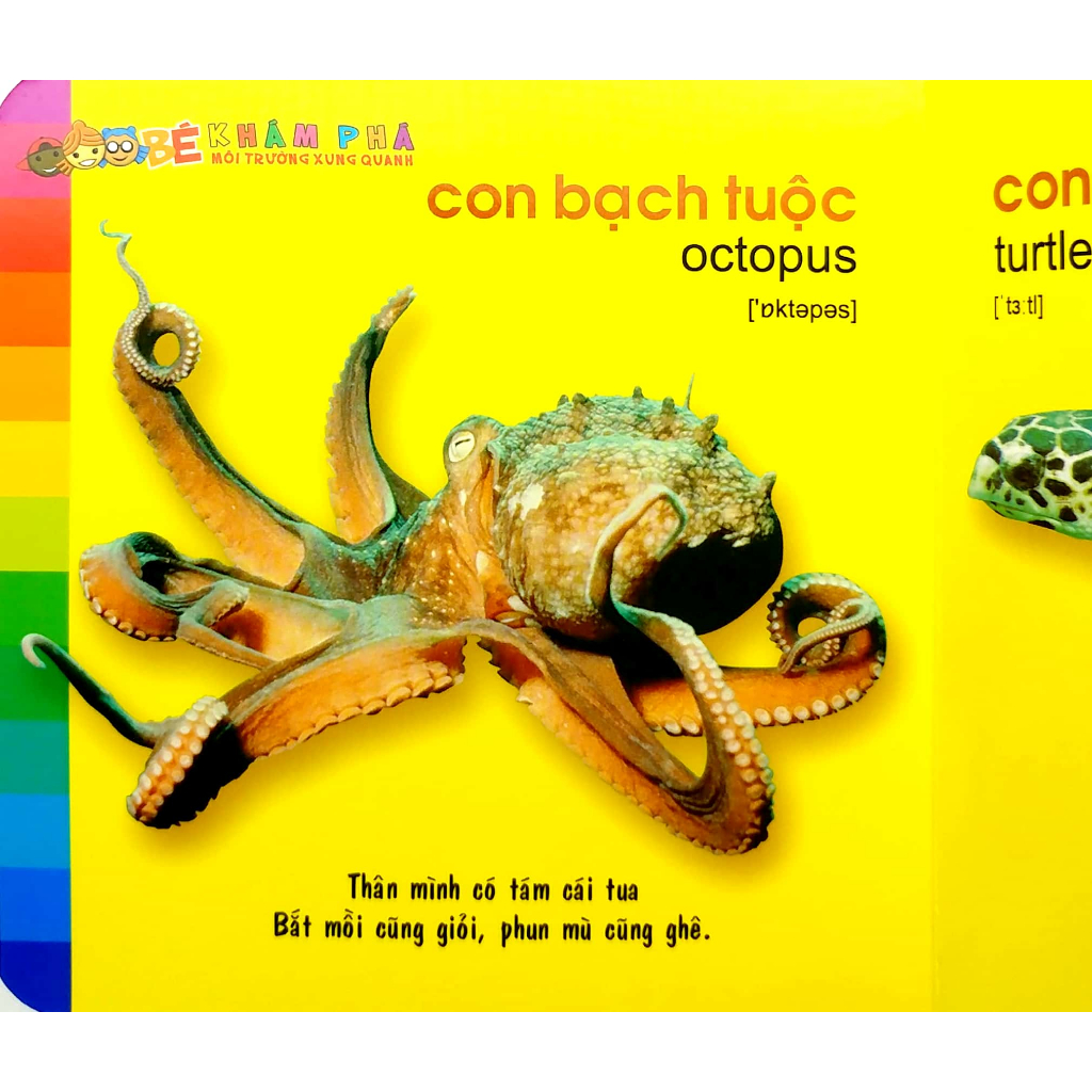 Sách: Combo Bé Khám Phá Môi Trường Xung Quanh