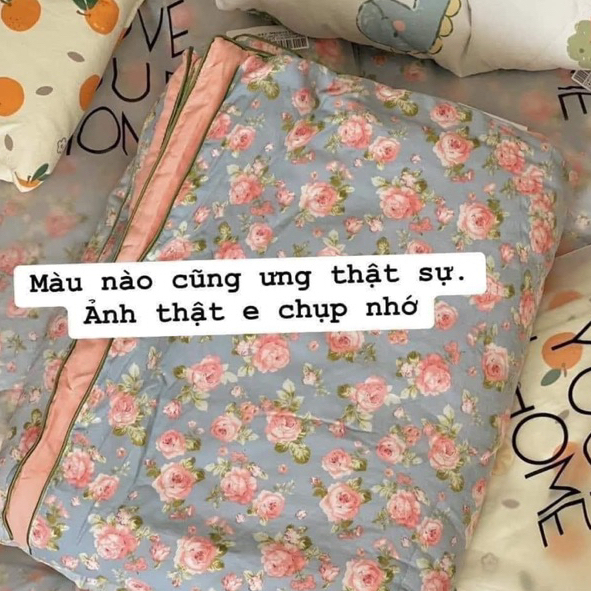 Chăn Hè Cotton Cao Cấp Hàn Quốc Siêu Mềm Mịn Sang Trọng