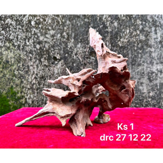 Gỗ lũa ĐÃ XỬ LÝ setup hồ bán cạn, Terrarium,....