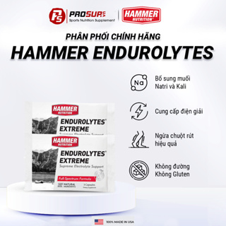 Viên muối điện giải Endurolytes Extreme Hammer Nutrition Gói 3 viên Ngăn