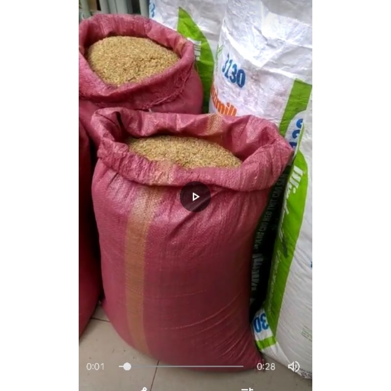 Vỏ trấu tươi (bao lớn 50dm3 6kg)