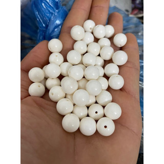 Bi xương lồng mào,choè,khuyên
