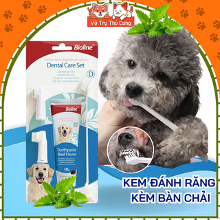 Bộ bàn chải và kem đánh răng cho Chó Bioline 100g, sạch răng, giảm hôi miệng thú cưng
