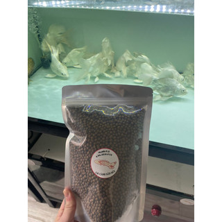 Cám cá chép sư tử, cá vàng, Ranchu, cá koi
