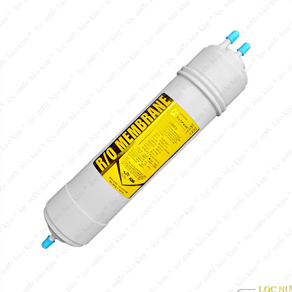 Kiểu I - Lõi lọc đúc Korea số 1,2,3, UF, R.O, Alkali Carbon - Hydrogen - Silver Carbon 11 inch kết nối 2 đầu