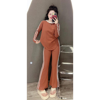 ( SẴN HCM ) SET LOE TAY DÀI THỂ THAO
