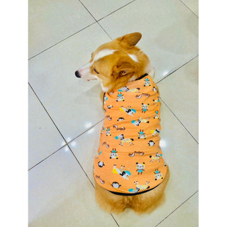 Áo cho chó corgi