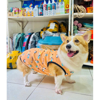 Áo cho chó corgi