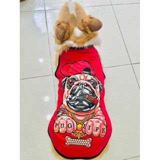 Áo cho chó corgi