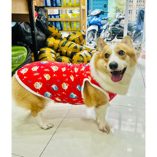 Áo cho chó corgi