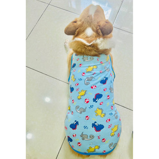 Áo cho chó corgi