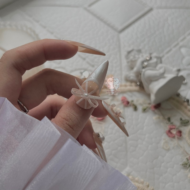 Nail Box thiết kế Thiên Nga Trắng