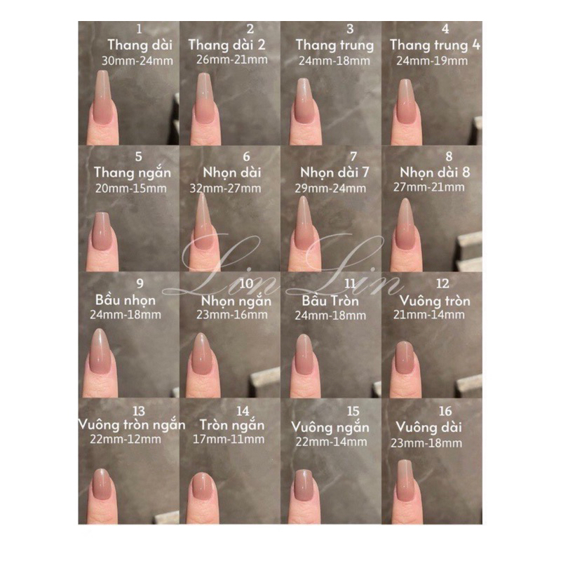 Nail Box thiết kế Thiên Nga Trắng