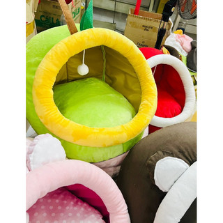 NỆM CHO CHÓ MÈO NHÀ NỆM