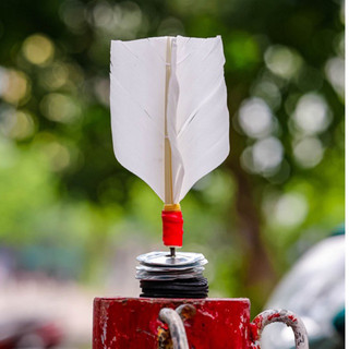 [CẦU SỊN] 10 quả cầu Tiểu Vũ đinh ren chống tụt ( thương hiệu Tiểu Vũ đã được bảo hộ)
