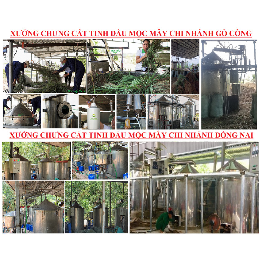 Tinh dầu Sả Chanh  Mộc Mây nguyên chất 100% từ thiên nhiên, xông phòng, thơm phòng, thư giản, đuổi muỗi