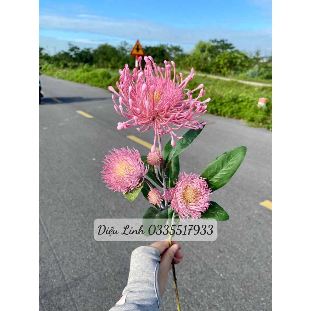 Cúc chỉ mốc sẵn hàng các màu hoa Decor trang trí không gian