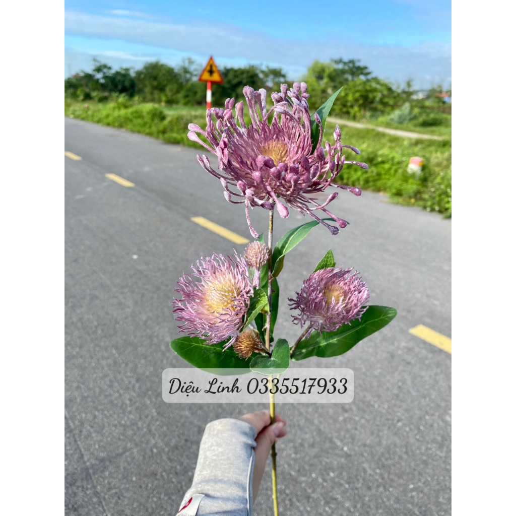 Cúc chỉ mốc sẵn hàng các màu hoa Decor trang trí không gian