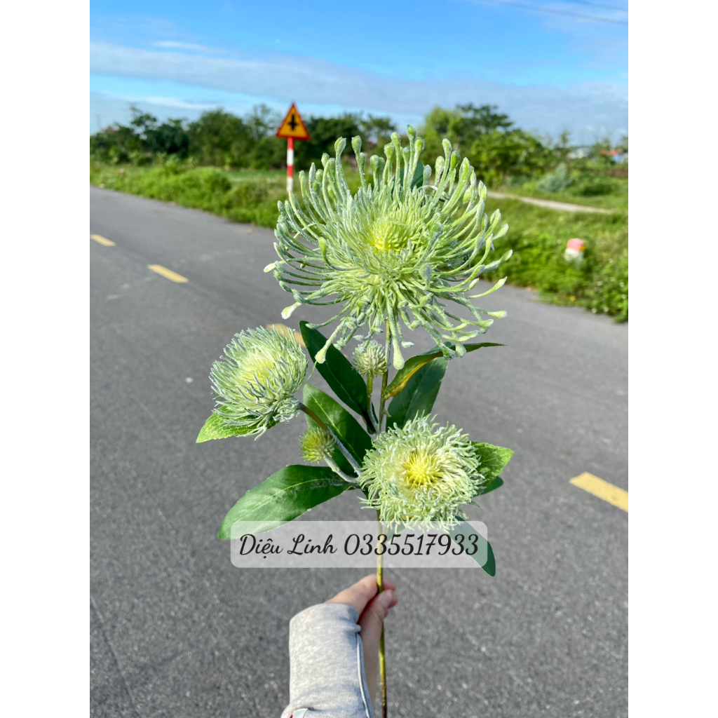 Cúc chỉ mốc sẵn hàng các màu hoa Decor trang trí không gian