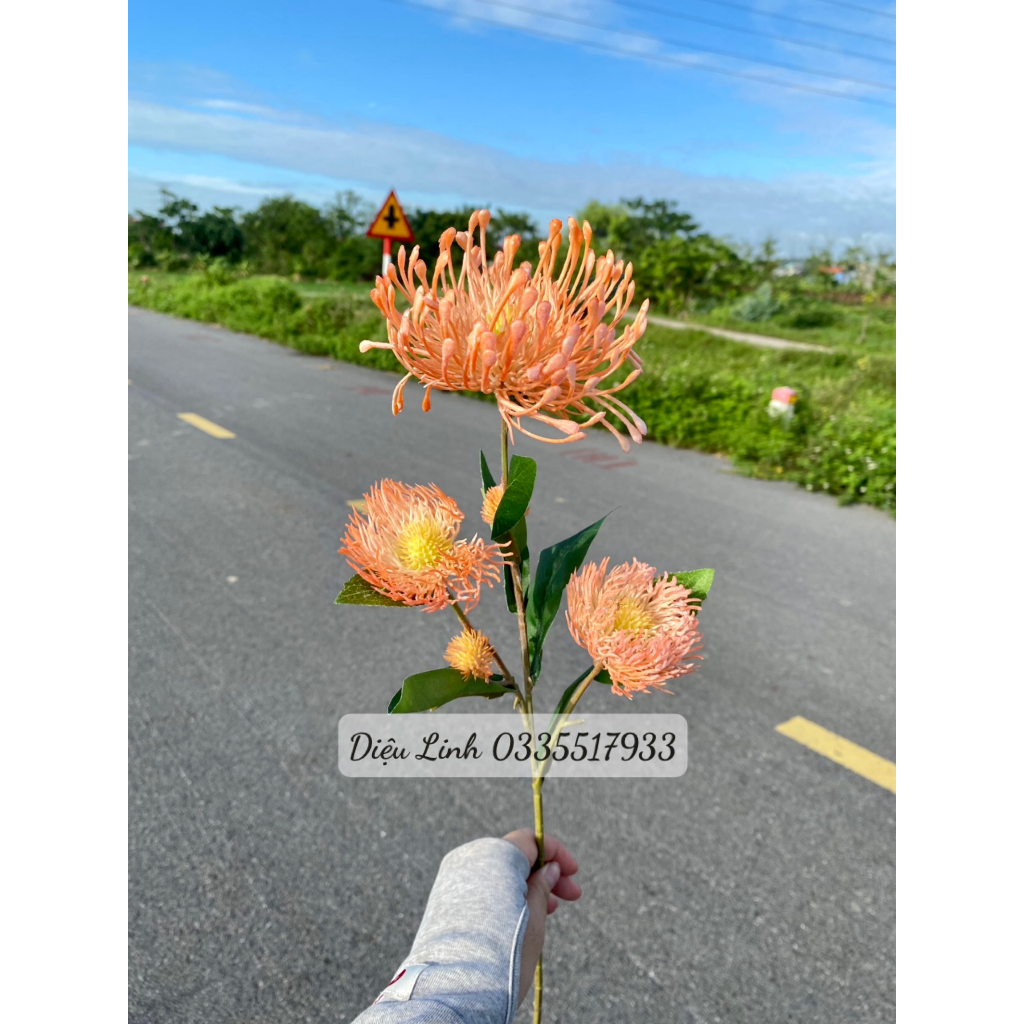 Cúc chỉ mốc sẵn hàng các màu hoa Decor trang trí không gian