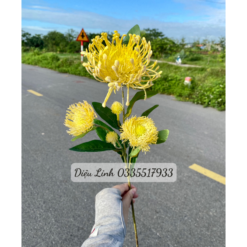 Cúc chỉ mốc sẵn hàng các màu hoa Decor trang trí không gian